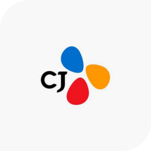 CJ Group Investments in US